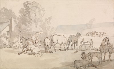 Mares and Foals in a Field by Thomas Rowlandson